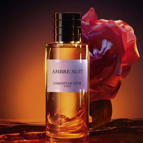 dior ambre nuit lidschatten|ambre nuit perfume.